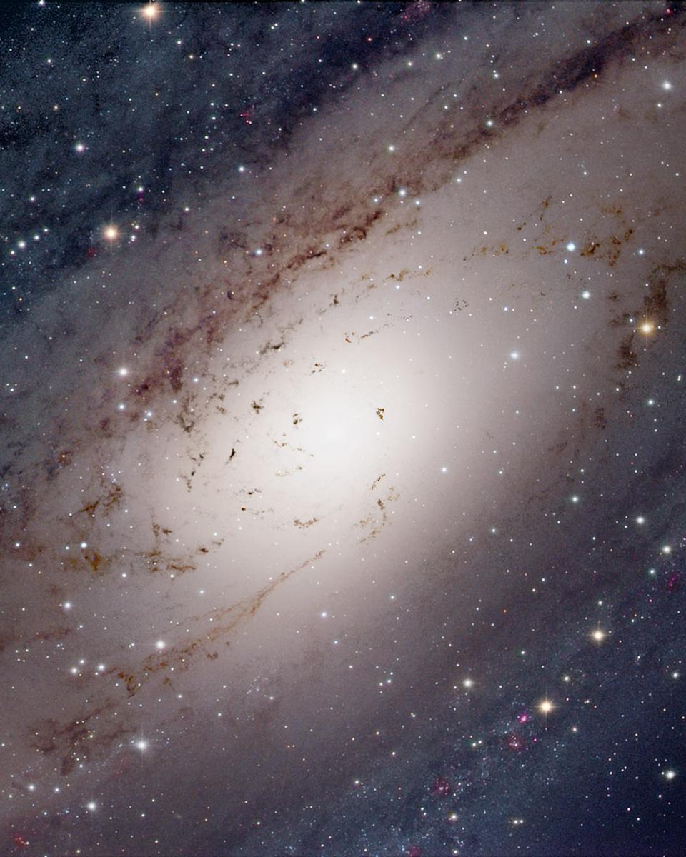 Andromeda's Core