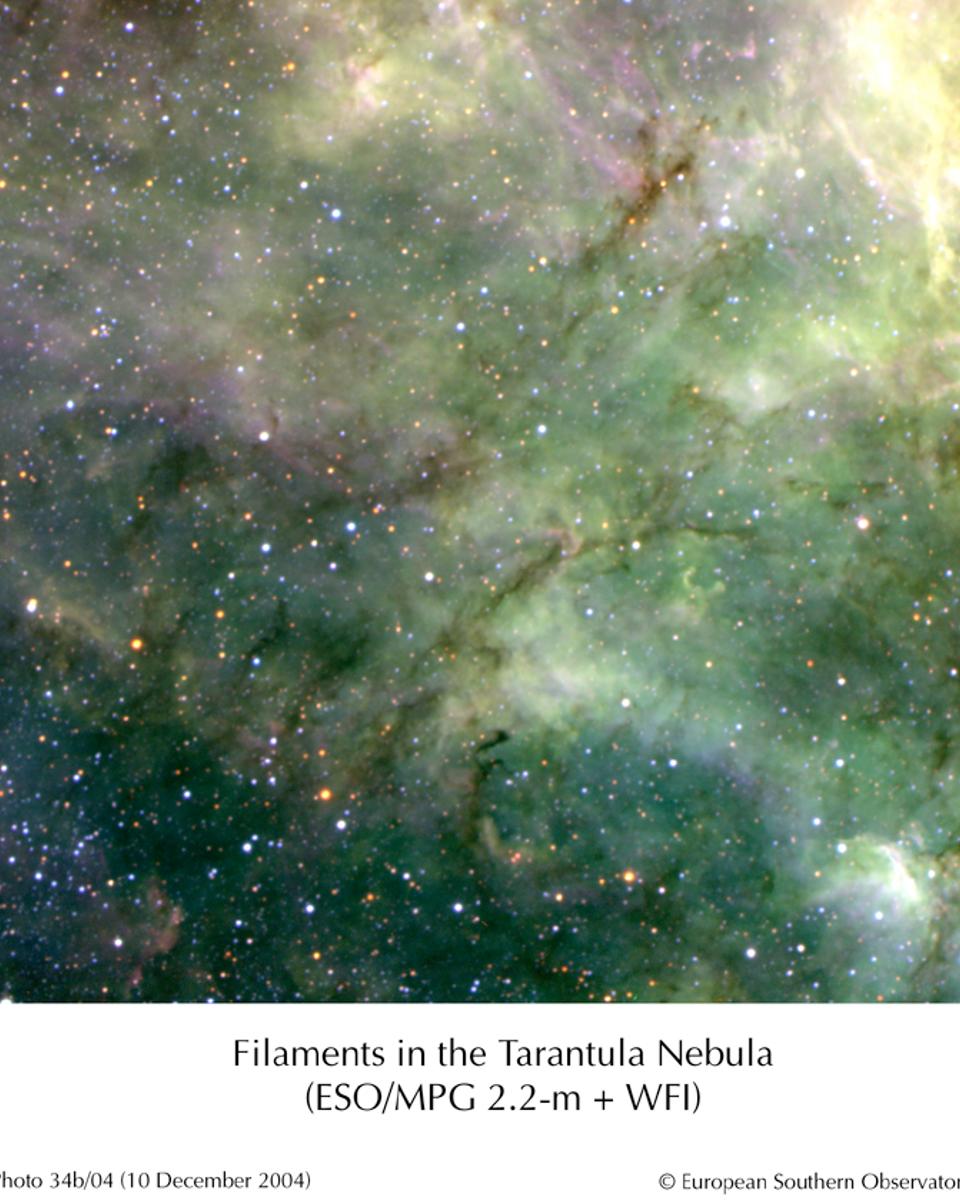 Tentacles of the Tarantula Nebula