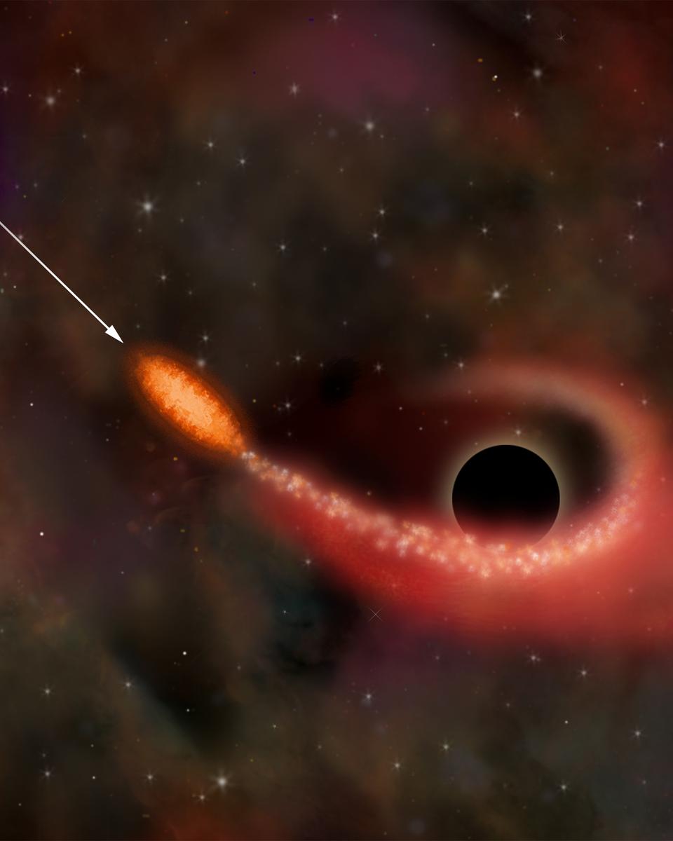 X-Rays Indicate Star Ripped Up by Black Hole