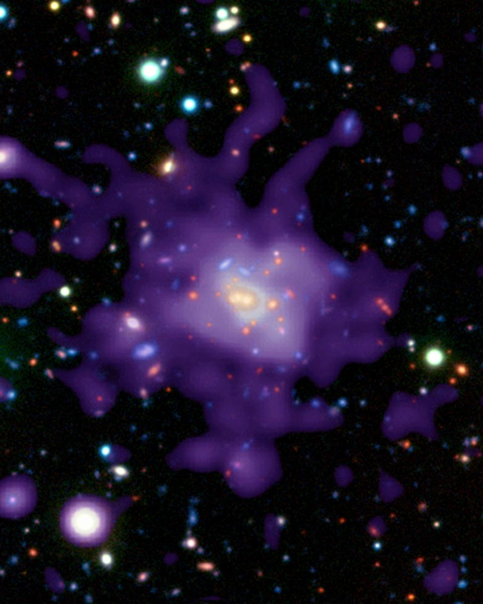 Galaxy Cluster in the Early Universe