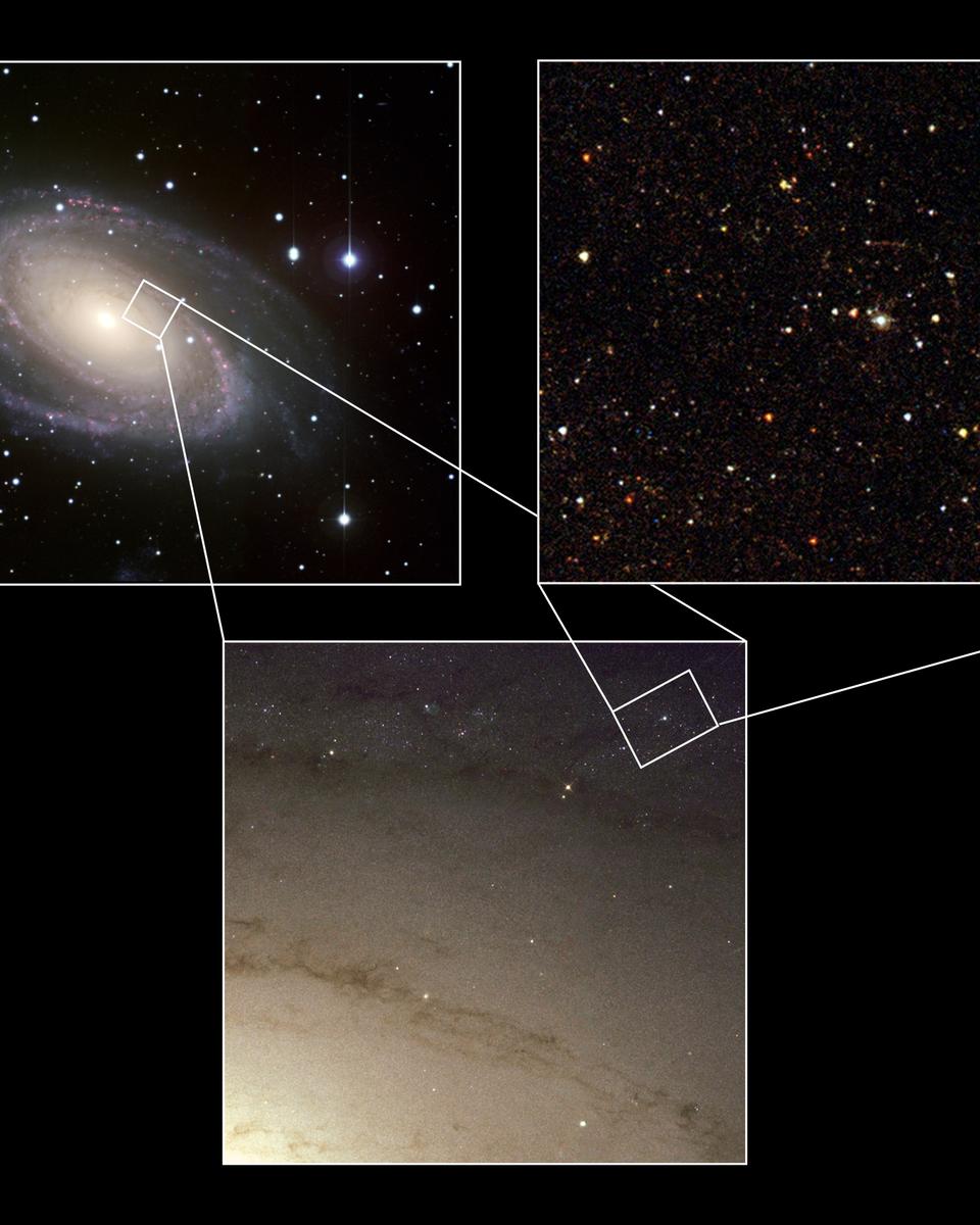Supernova Survivor