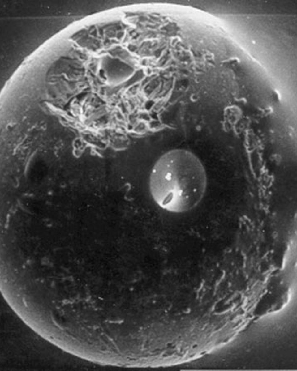 A Spherule from the Earth's Moon