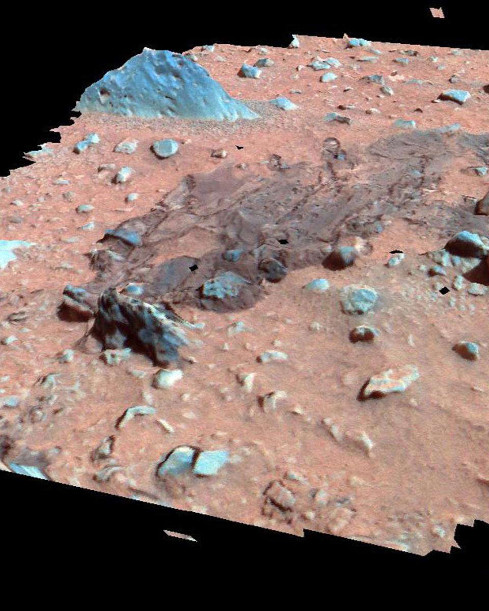 Martian Surface in Perspective