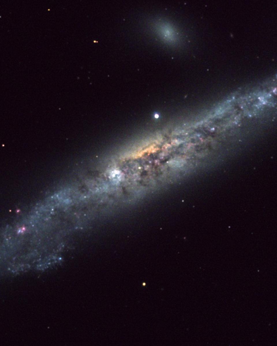 NGC 4631: The Whale Galaxy
