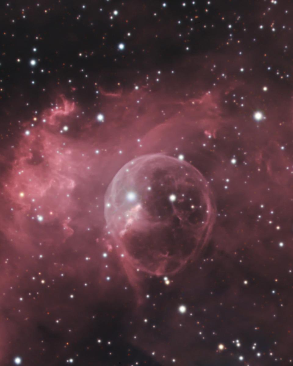 The Bubble