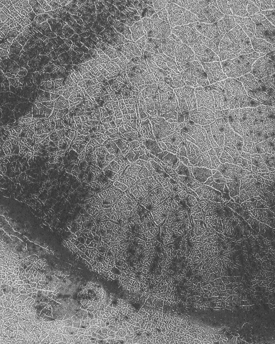 Polar Polygons on Mars