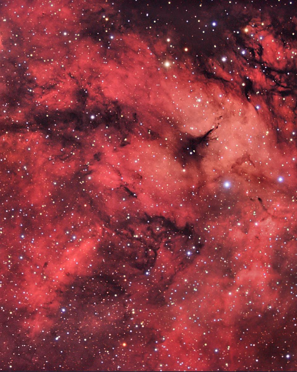 A Cygnus Starfield