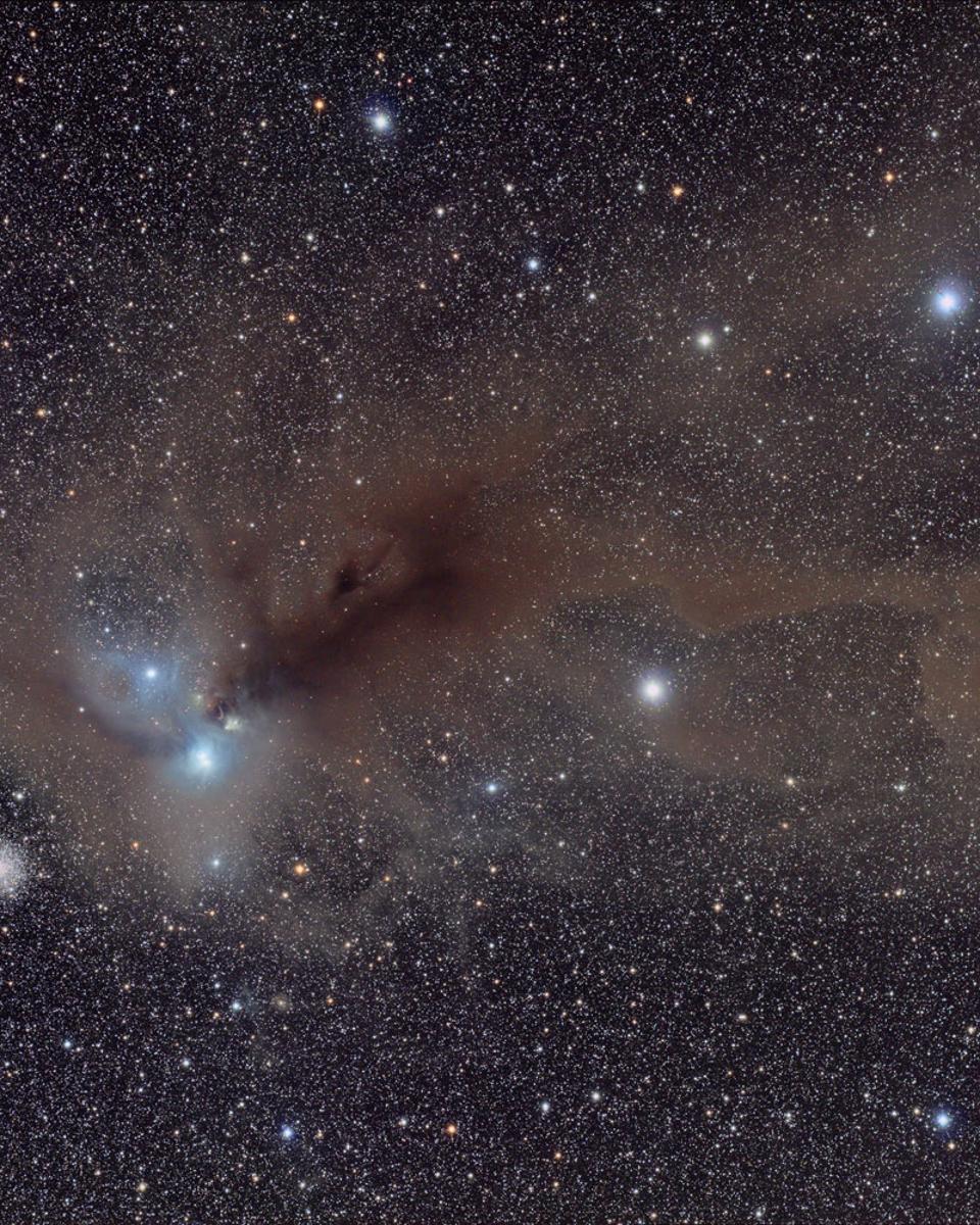 Stars and Dust in Corona Australis
