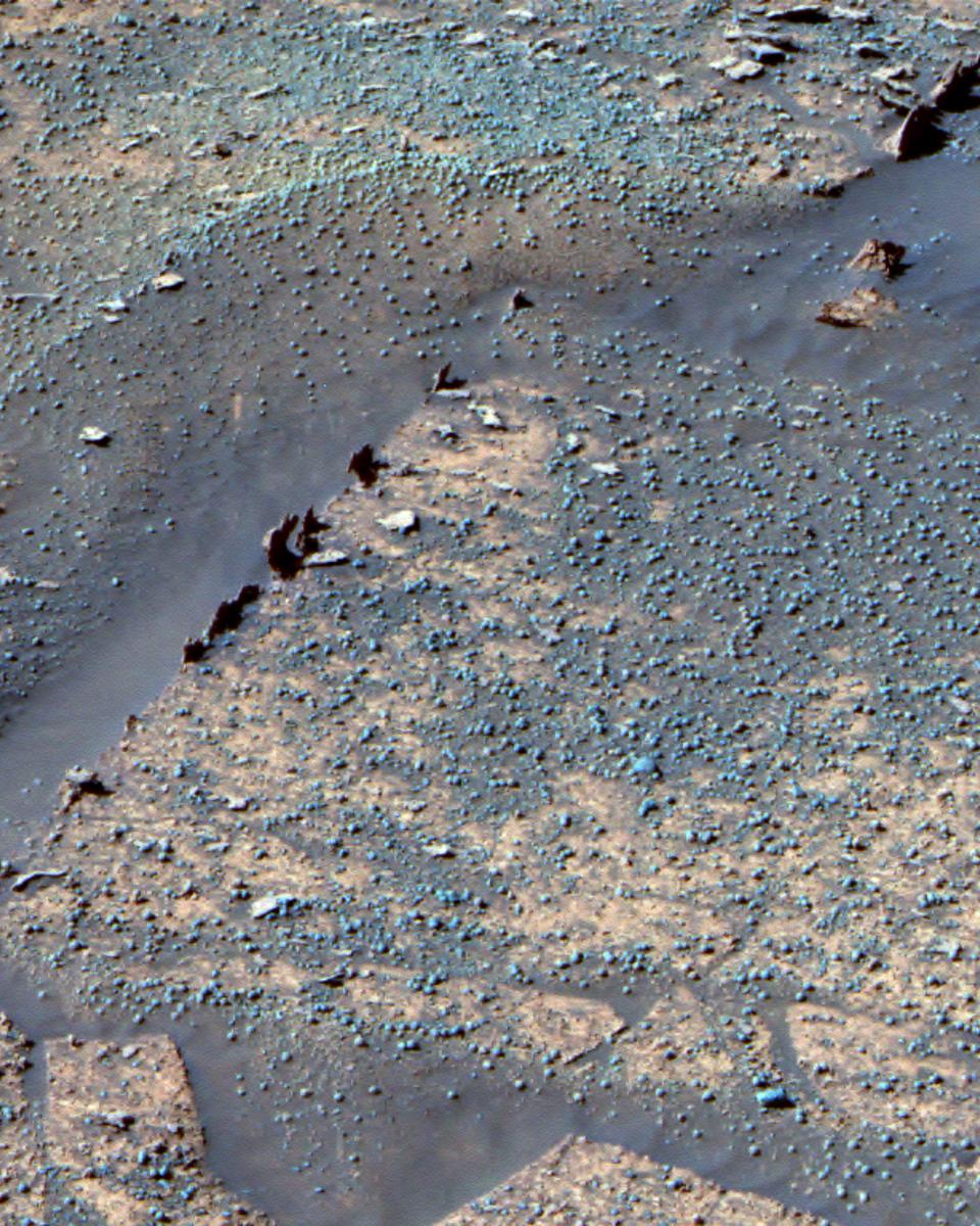 Razorbacks in Endurance Crater