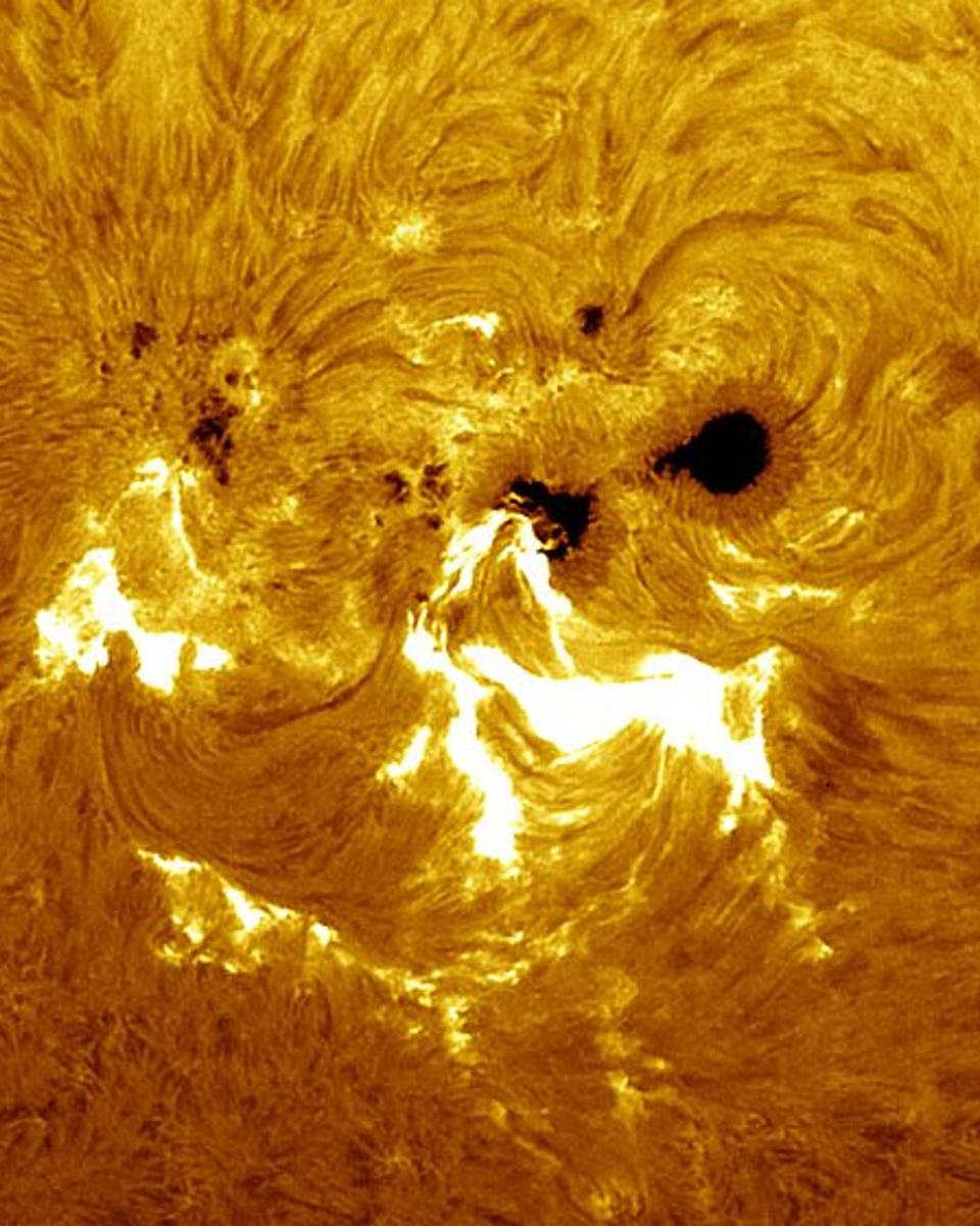 A Large Active Region Crosses the Sun