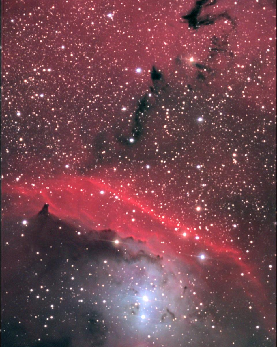 In the Center of NGC 6559