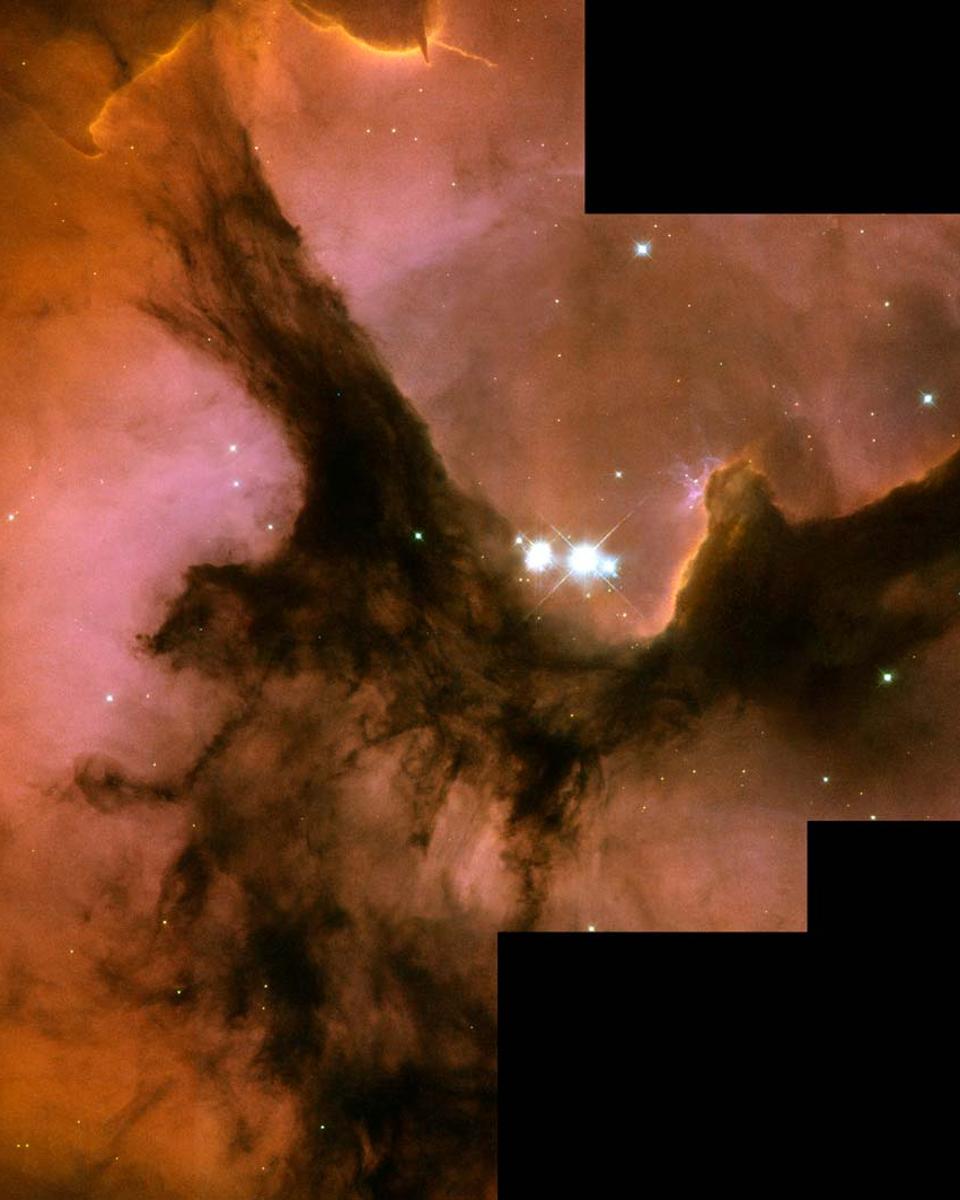 The Trifid Nebula from Hubble