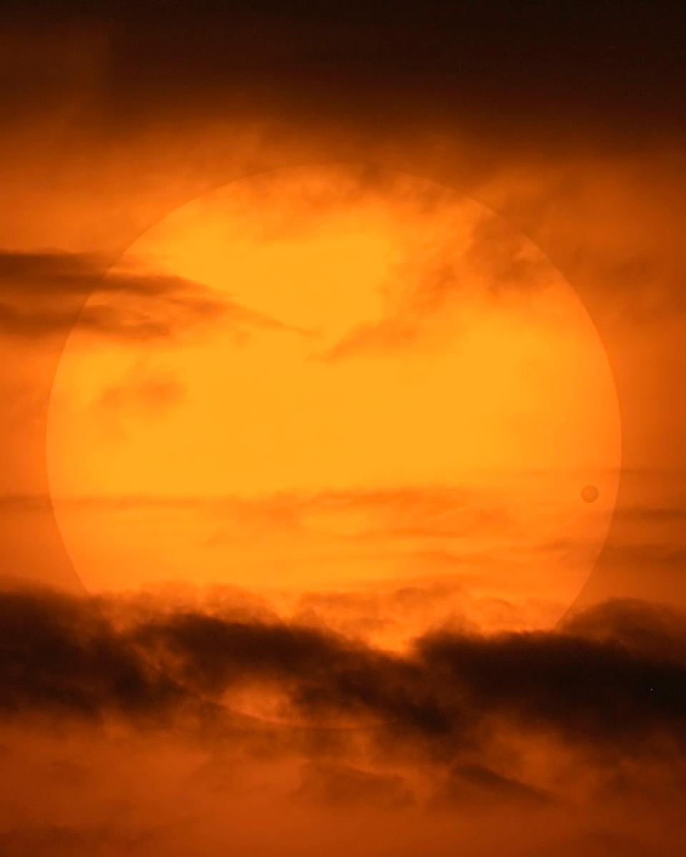 A Picturesque Venus Transit