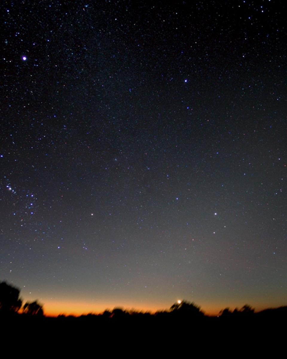 Two Comets in Southern Skies