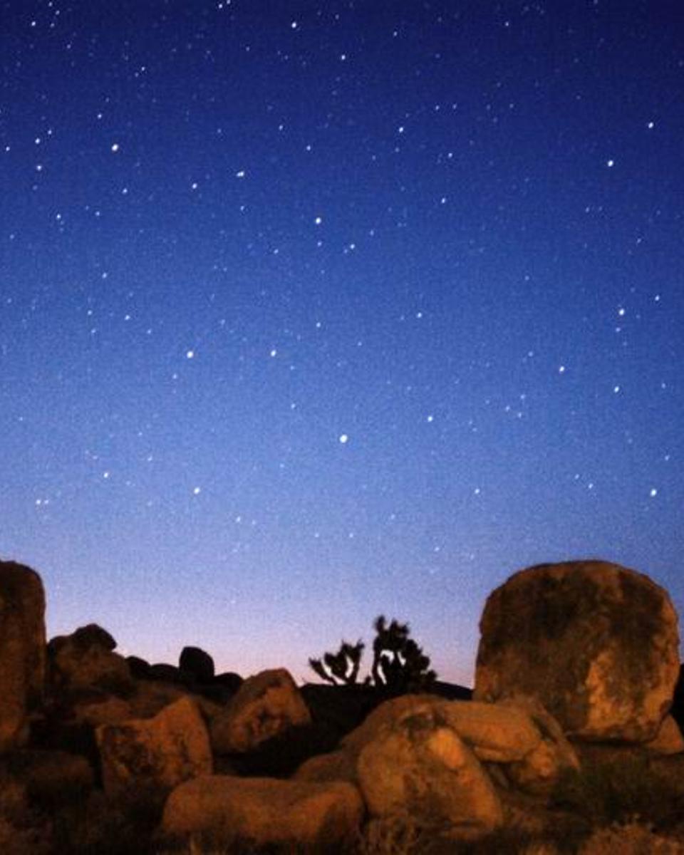 Comets Bradfield and LINEAR Rising