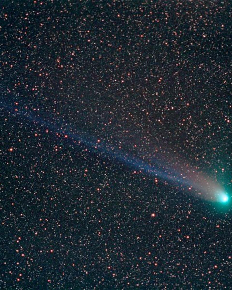 The Tails of Comet NEAT (Q4)