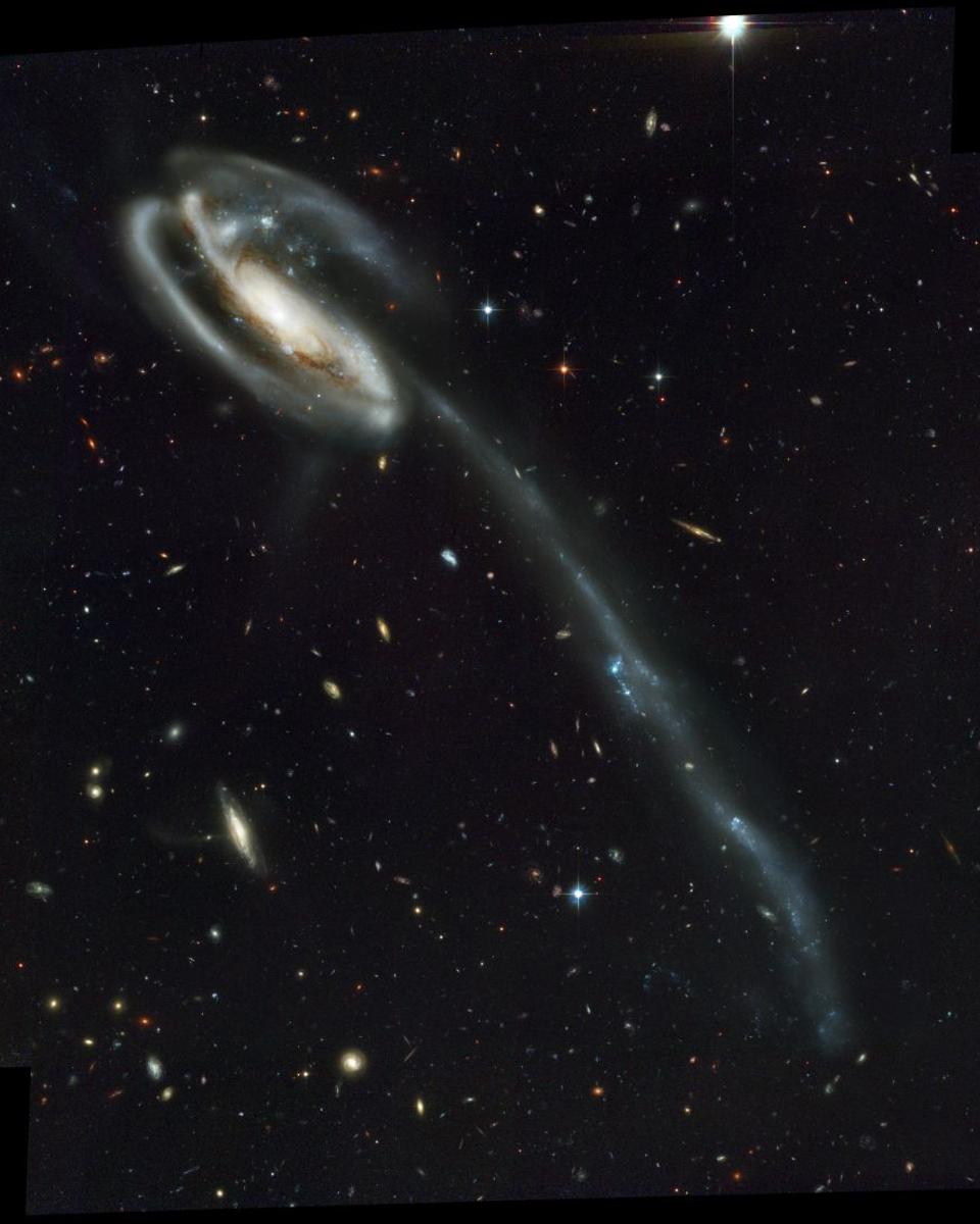 Arp 188 and the Tadpole's Tidal Tail