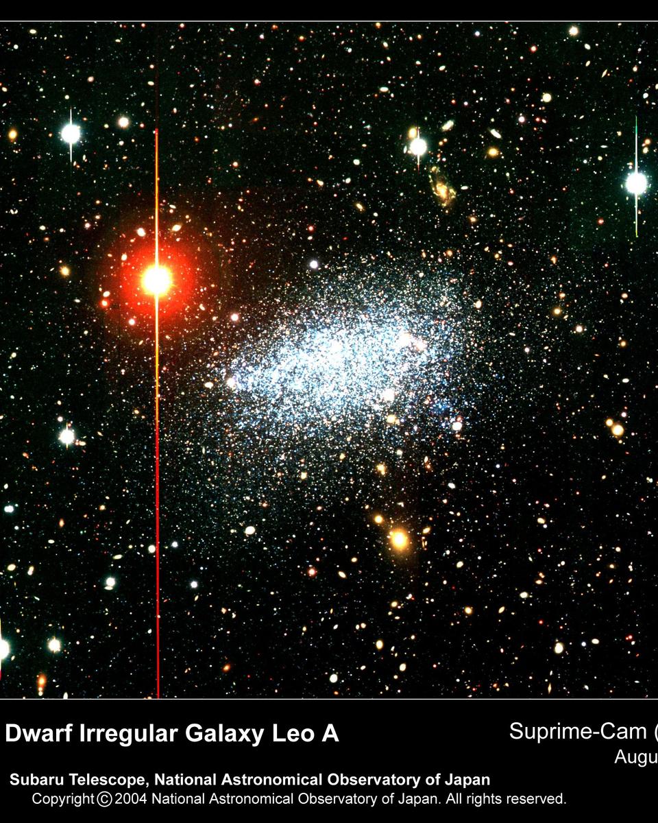 Leo A: Nearby Dwarf Irregular Galaxy
