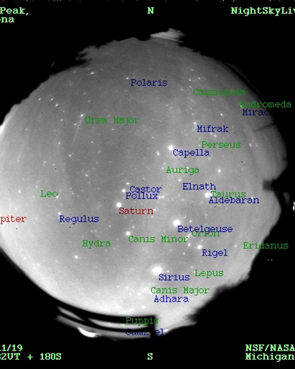 Leonid Meteors Streak