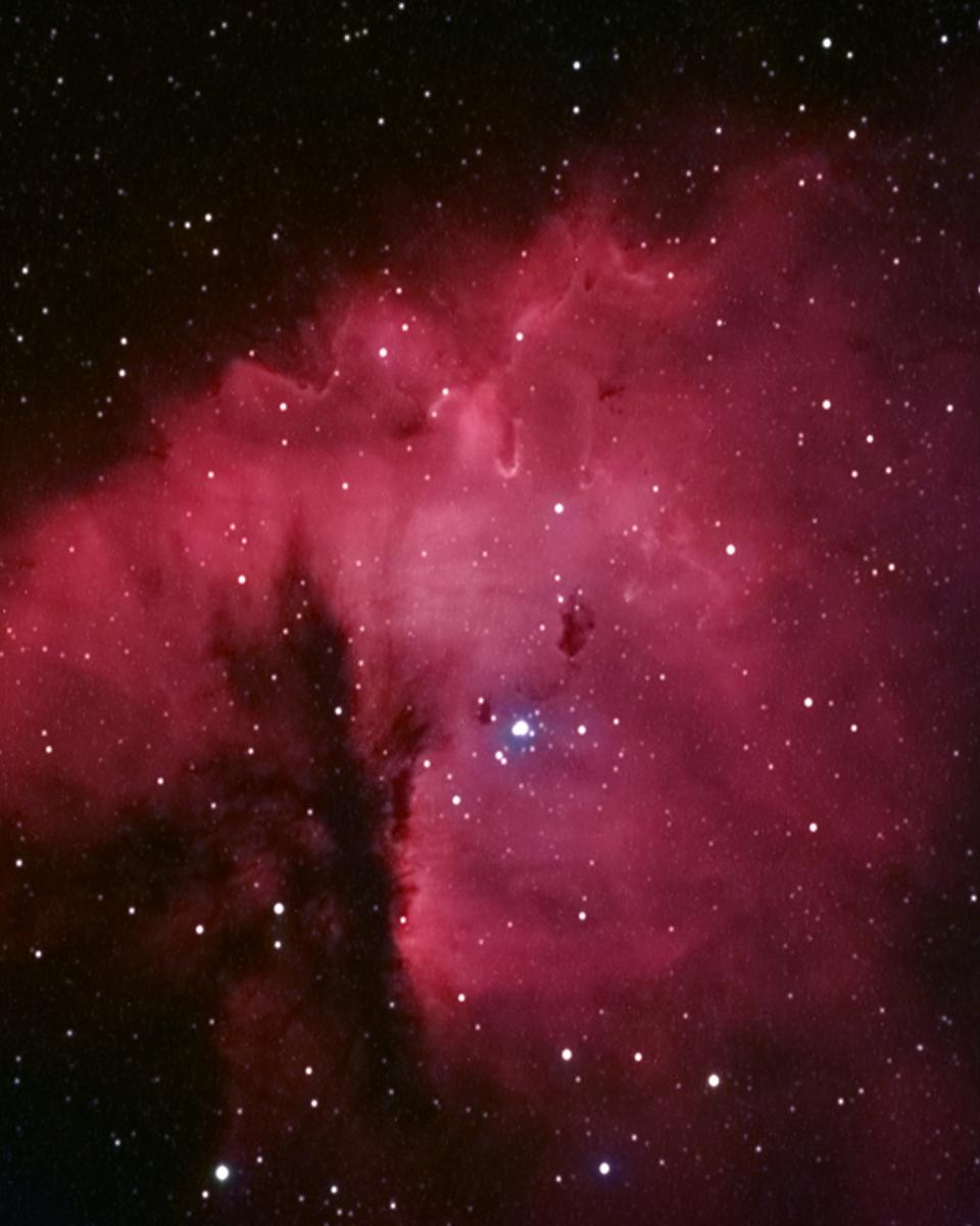 NGC 281: Cluster, Clouds, and Globules