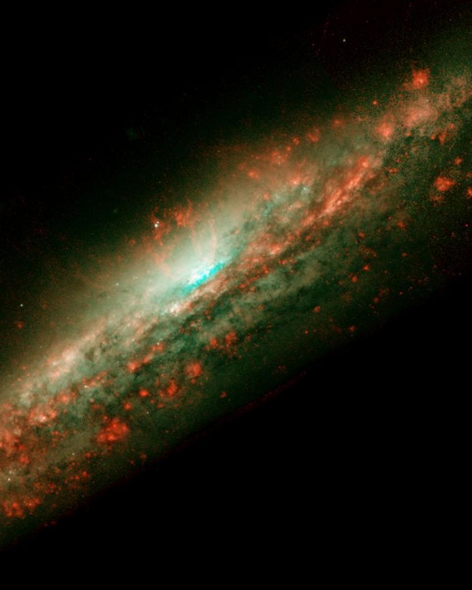 The Bubbling Cauldron of NGC 3079