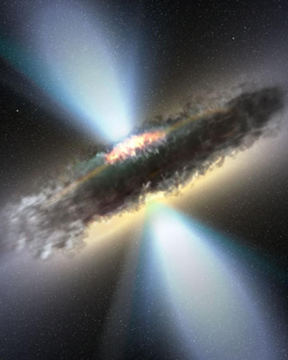 Molecular Torus Surrounds Black Hole