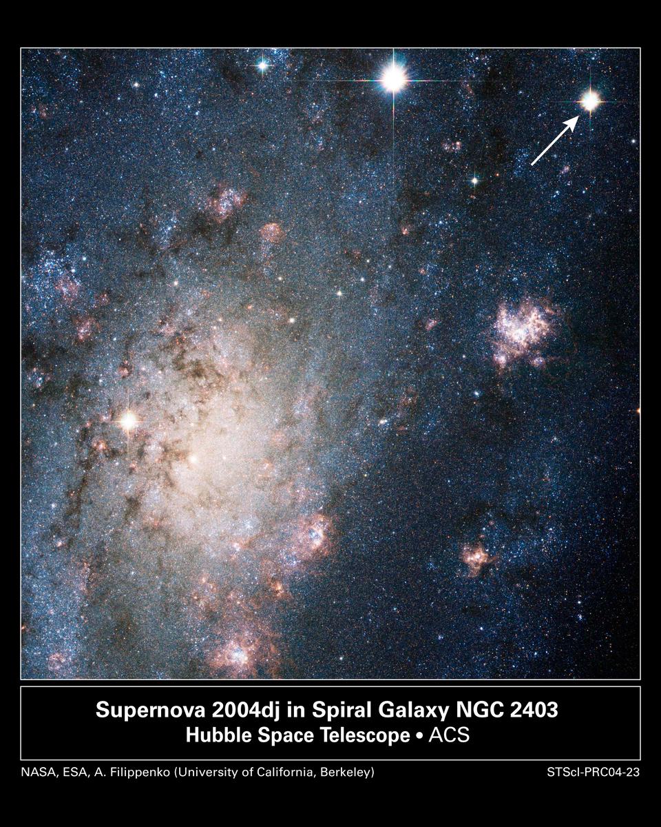 A Supernova in Nearby Galaxy NGC 2403