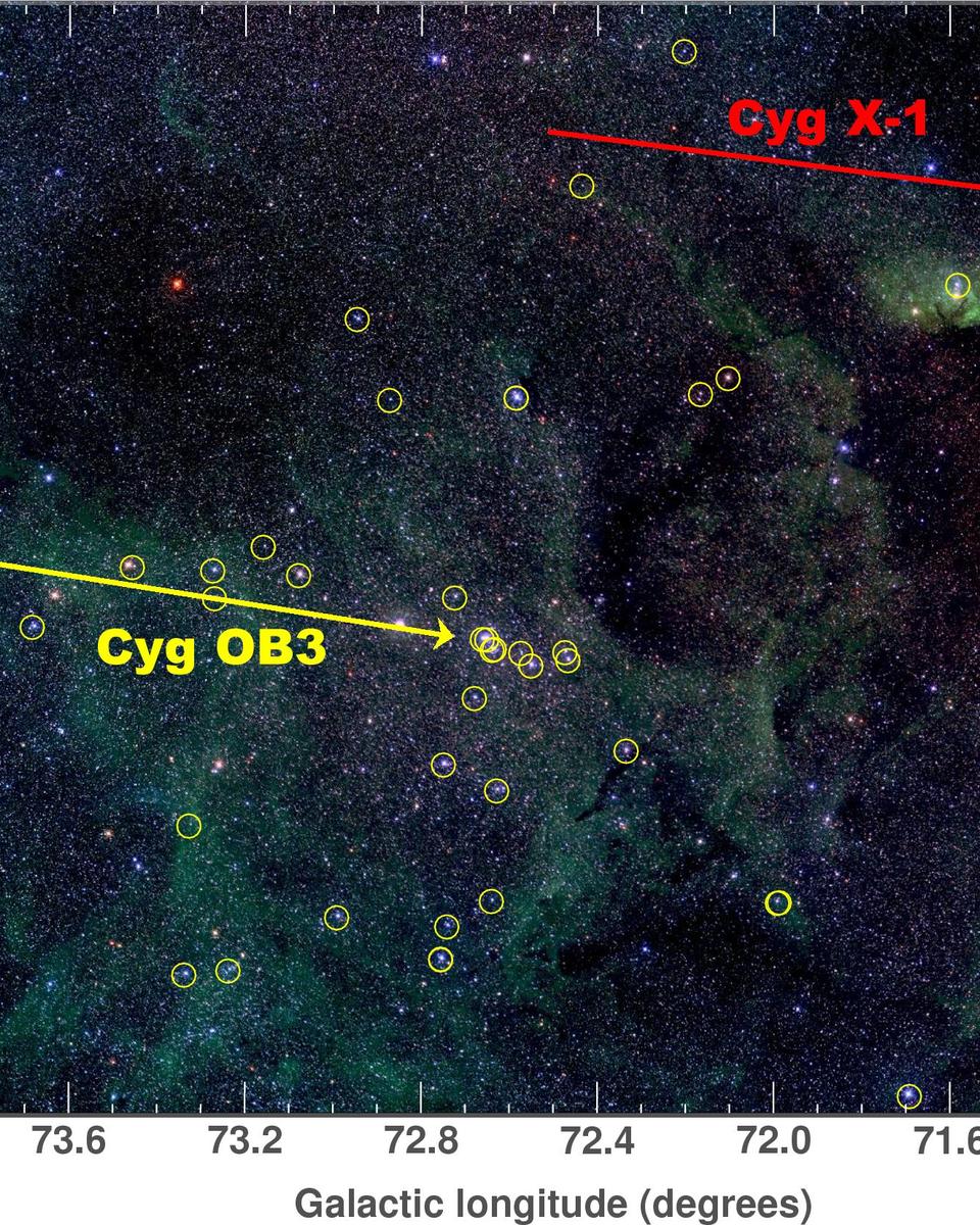 Cyg X-1: Can Black Holes Form in the Dark?