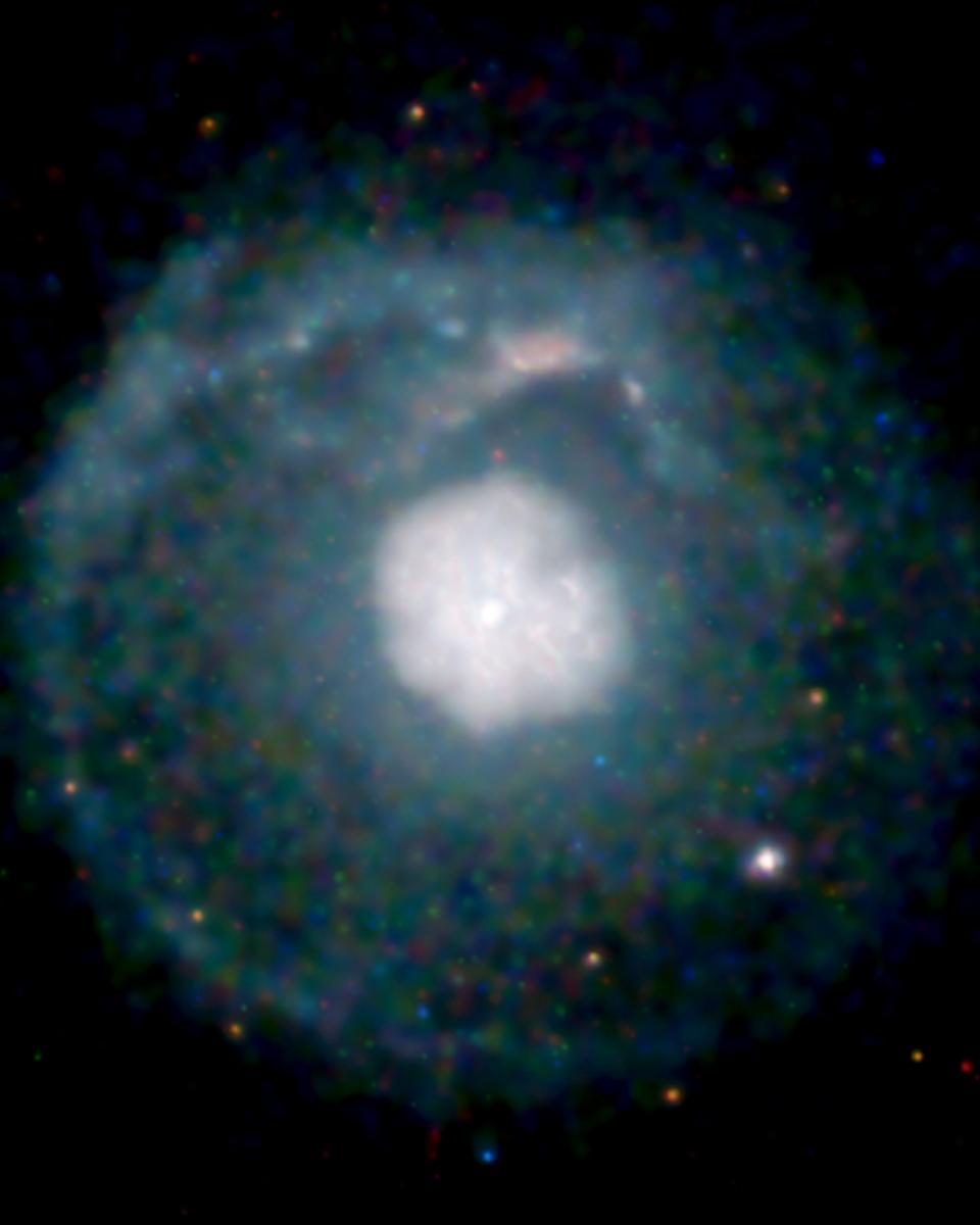 G21.5-0.9: A Supernova's Cosmic Shell