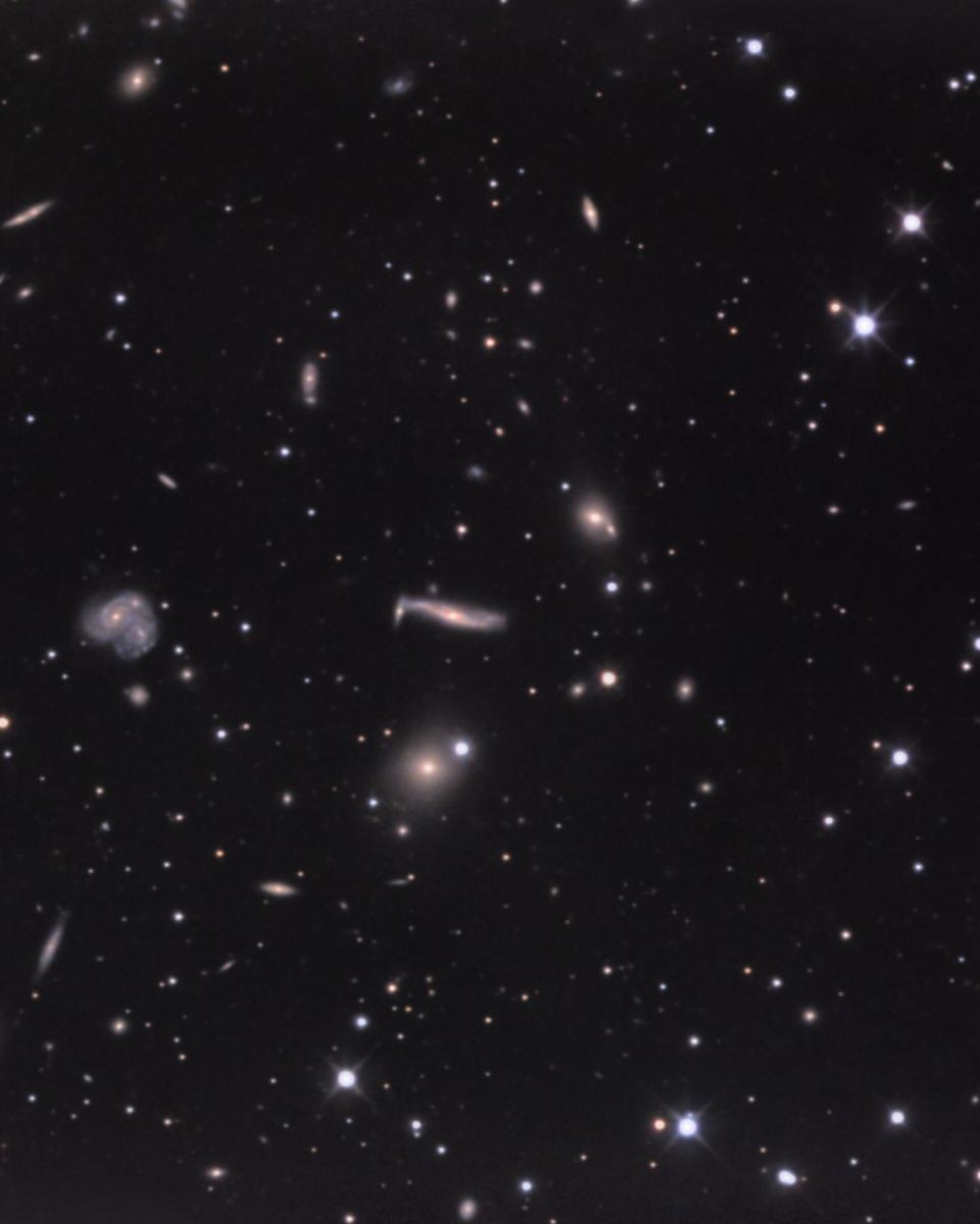 The Hercules Cluster of Galaxies