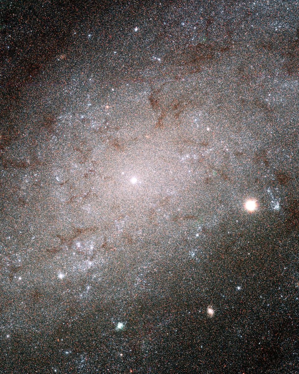 The Stars of NGC 300