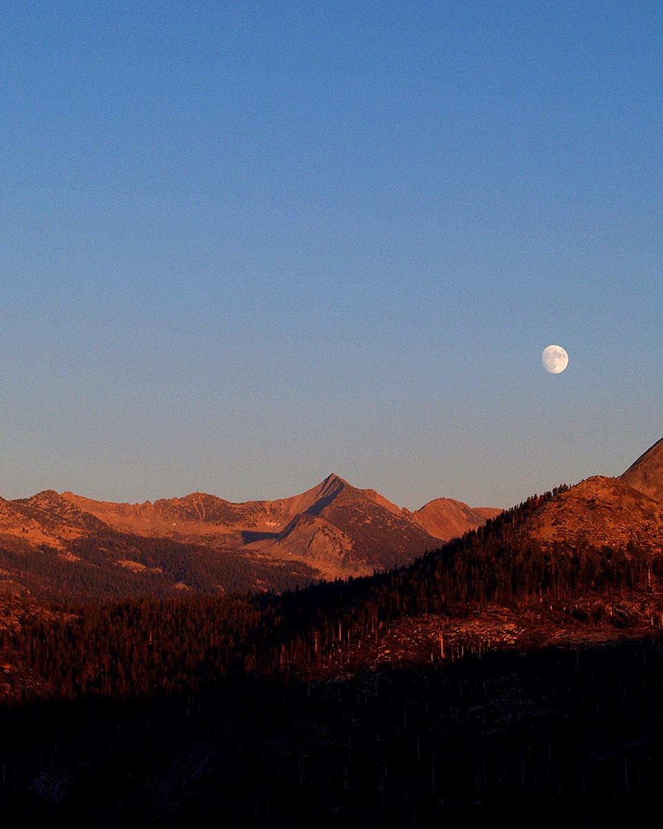 Autumn Moon Encore