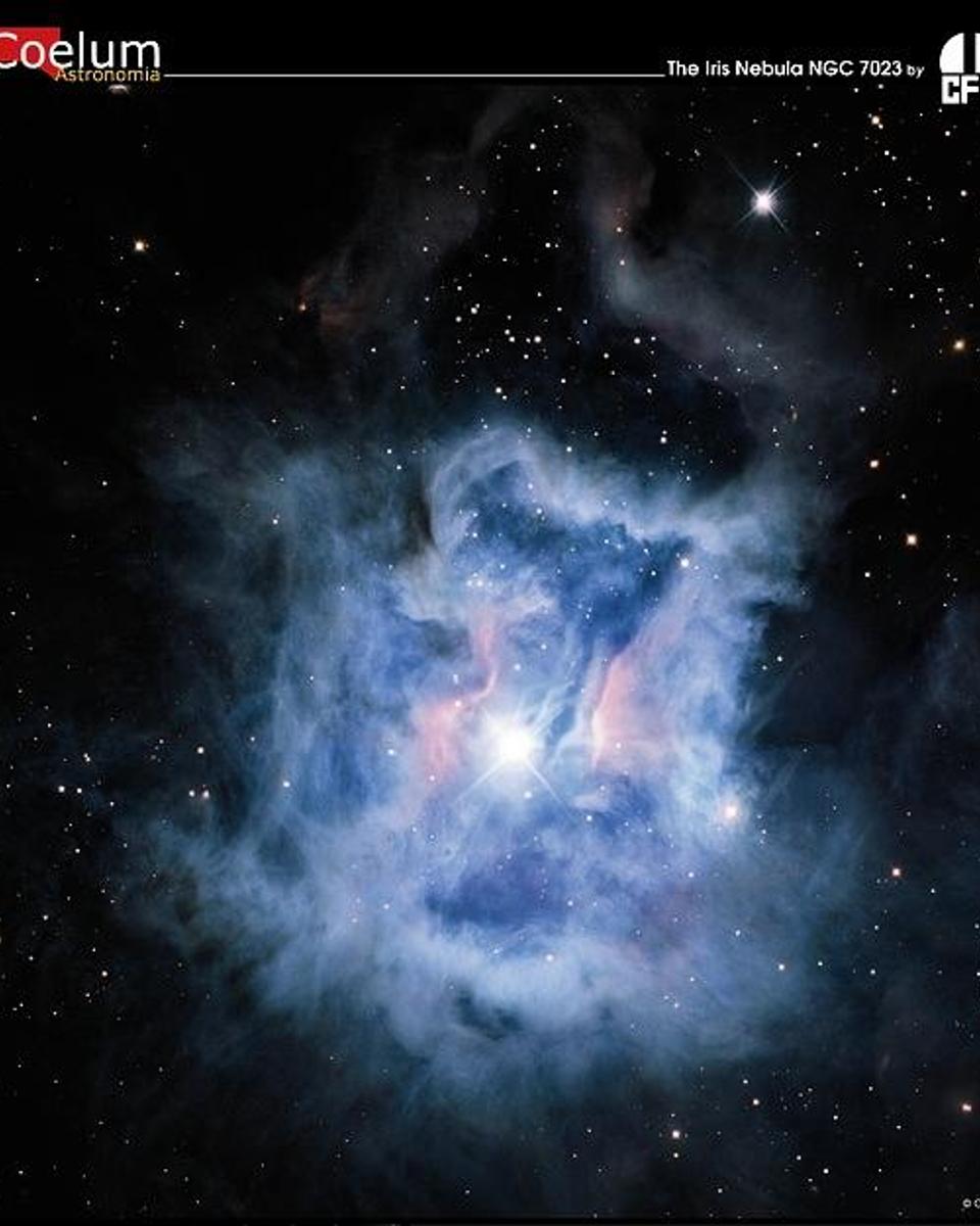 The Iris Nebula from CFHT