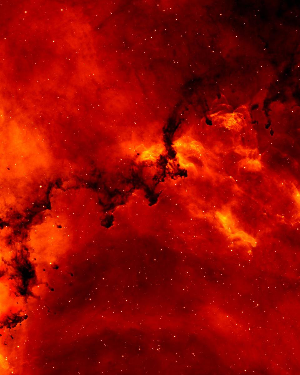 Hydrogen and Dust in the Rosette Nebula