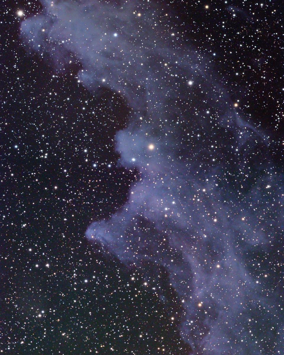 IC 2118: The Witch Head Nebula