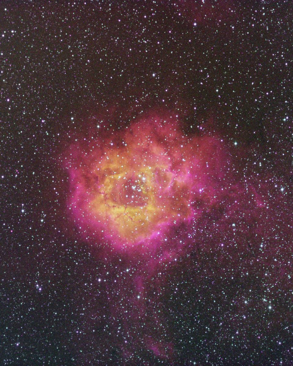 The Rosette Nebula