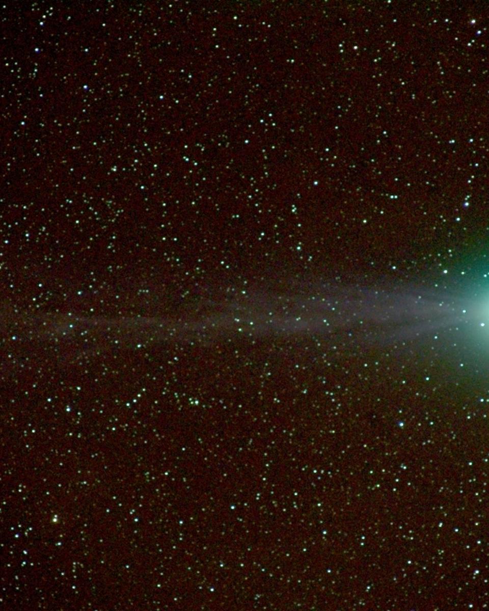 Comet Machholz in View