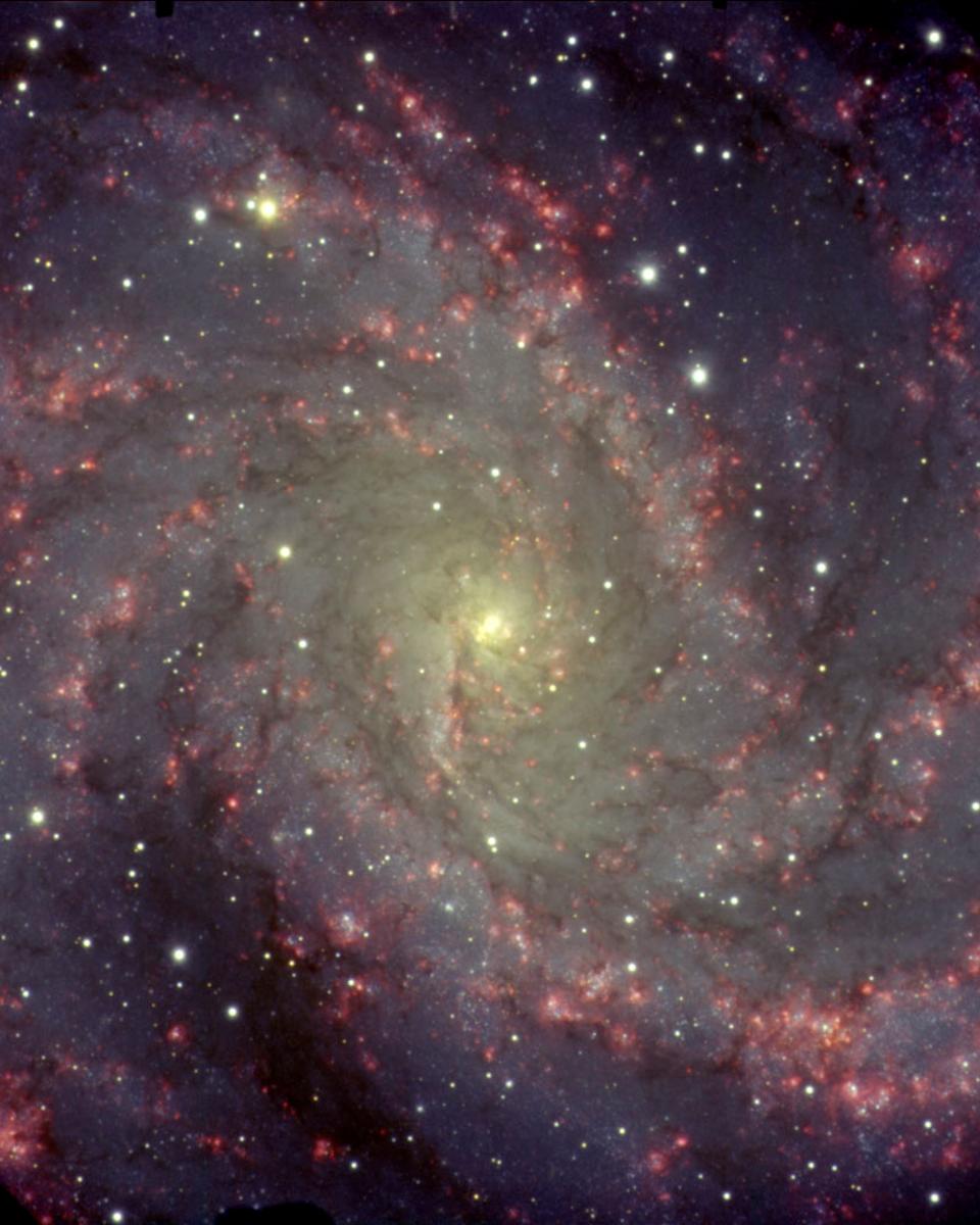 NGC 6946: The Fireworks Galaxy