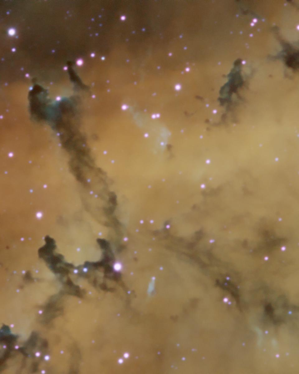 Dust Sculptures in the Rosette Nebula