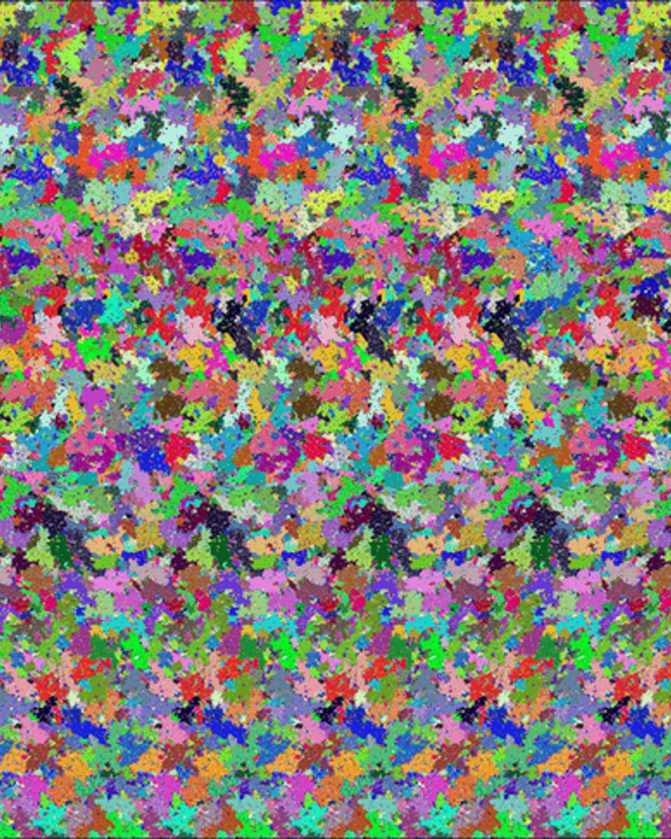The Holographic Principle