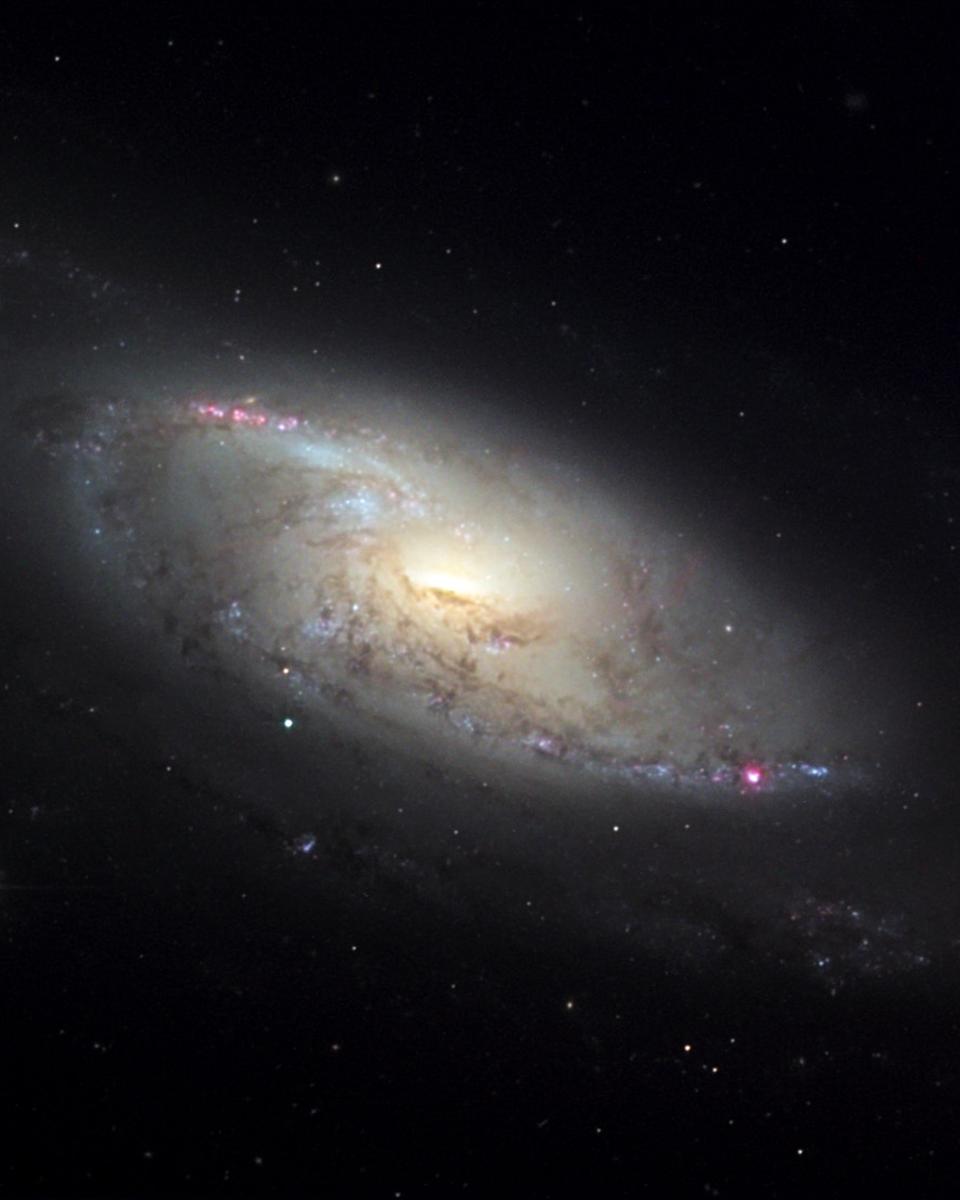 M106 in Canes Venatici