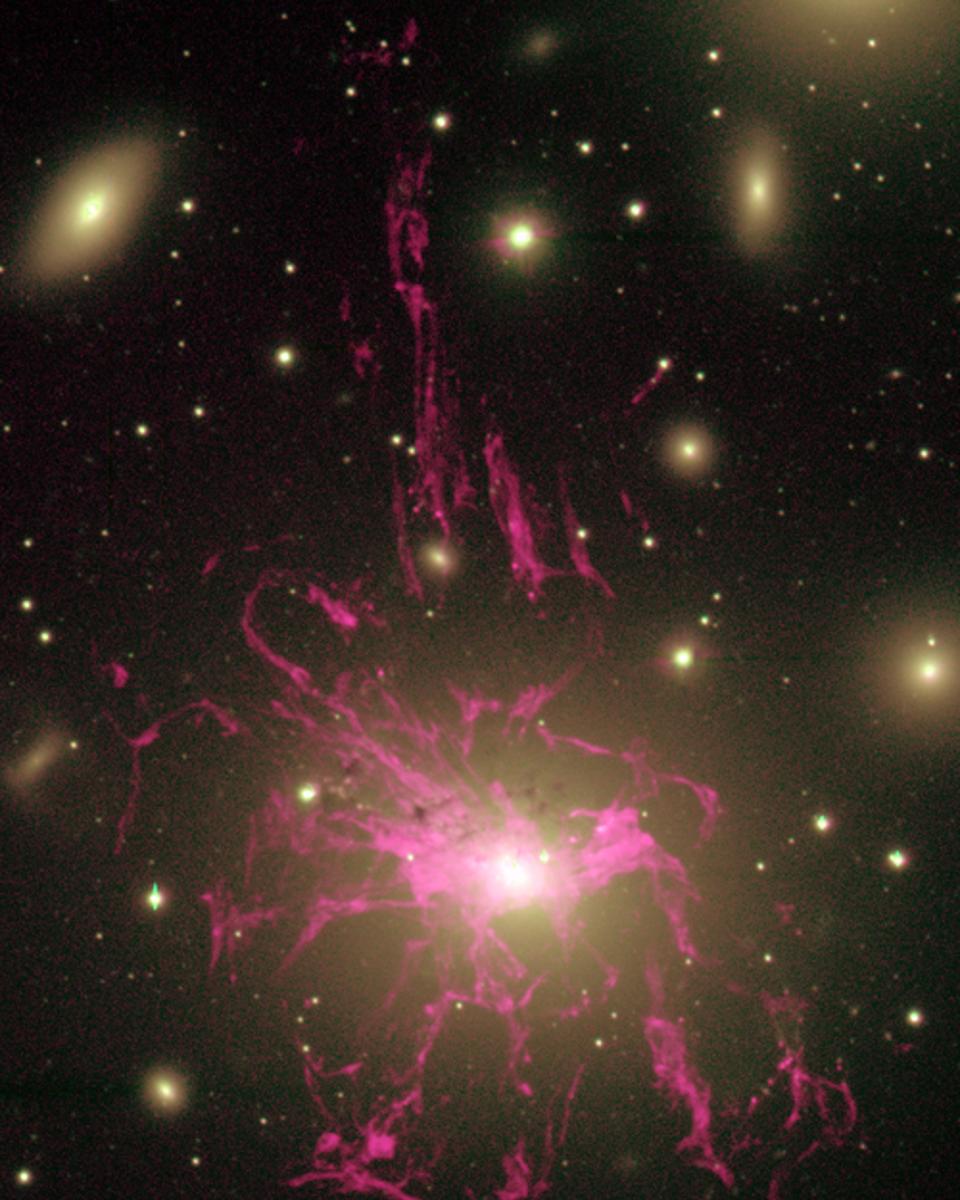 Unusual Gas Filaments Surround Galaxy NGC 1275
