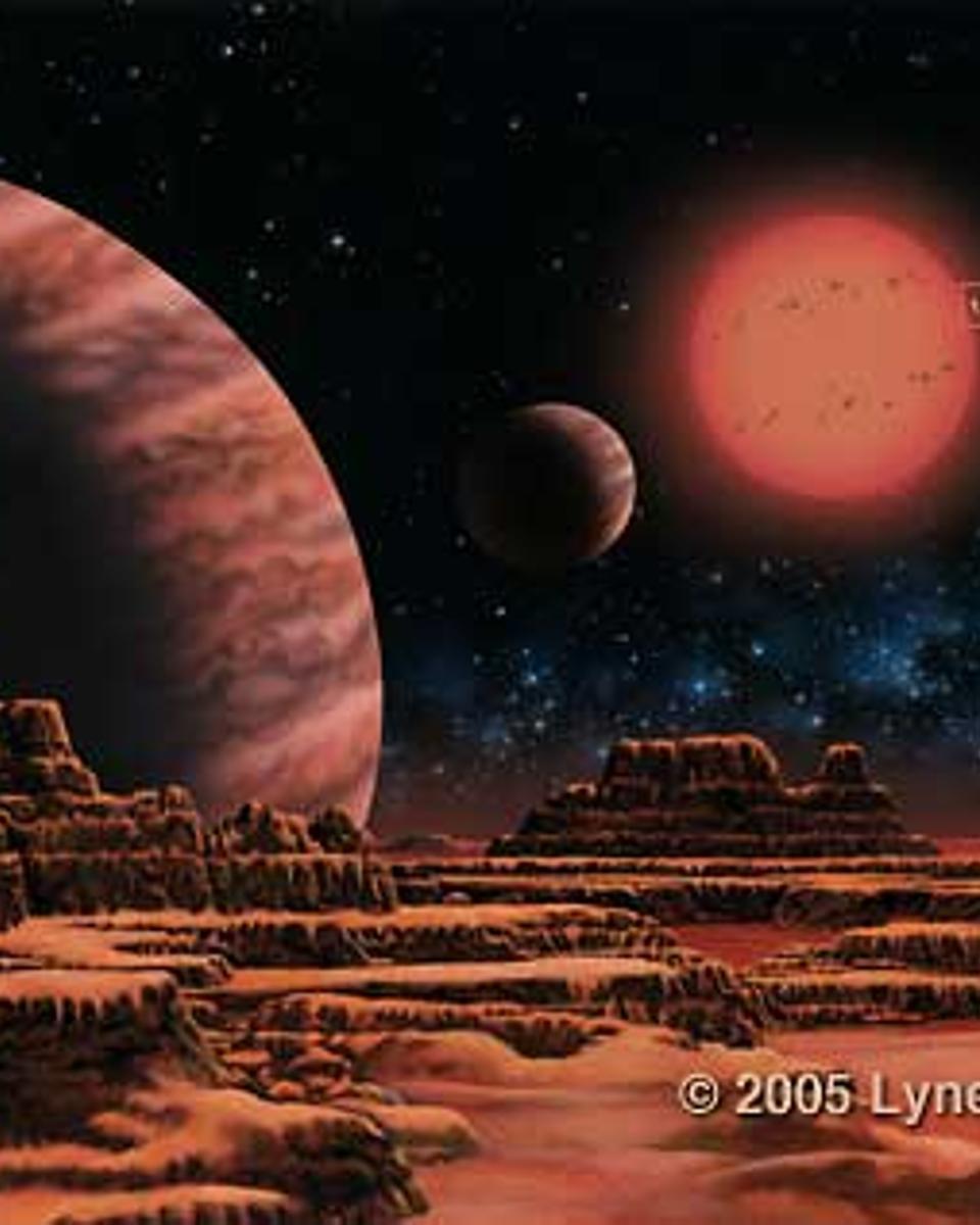 Gliese 876 System Includes Large Terrestrial Planet