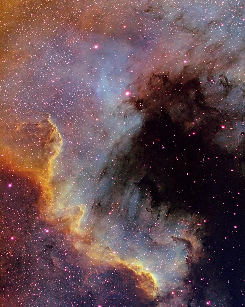 The Cygnus Wall of Star Formation