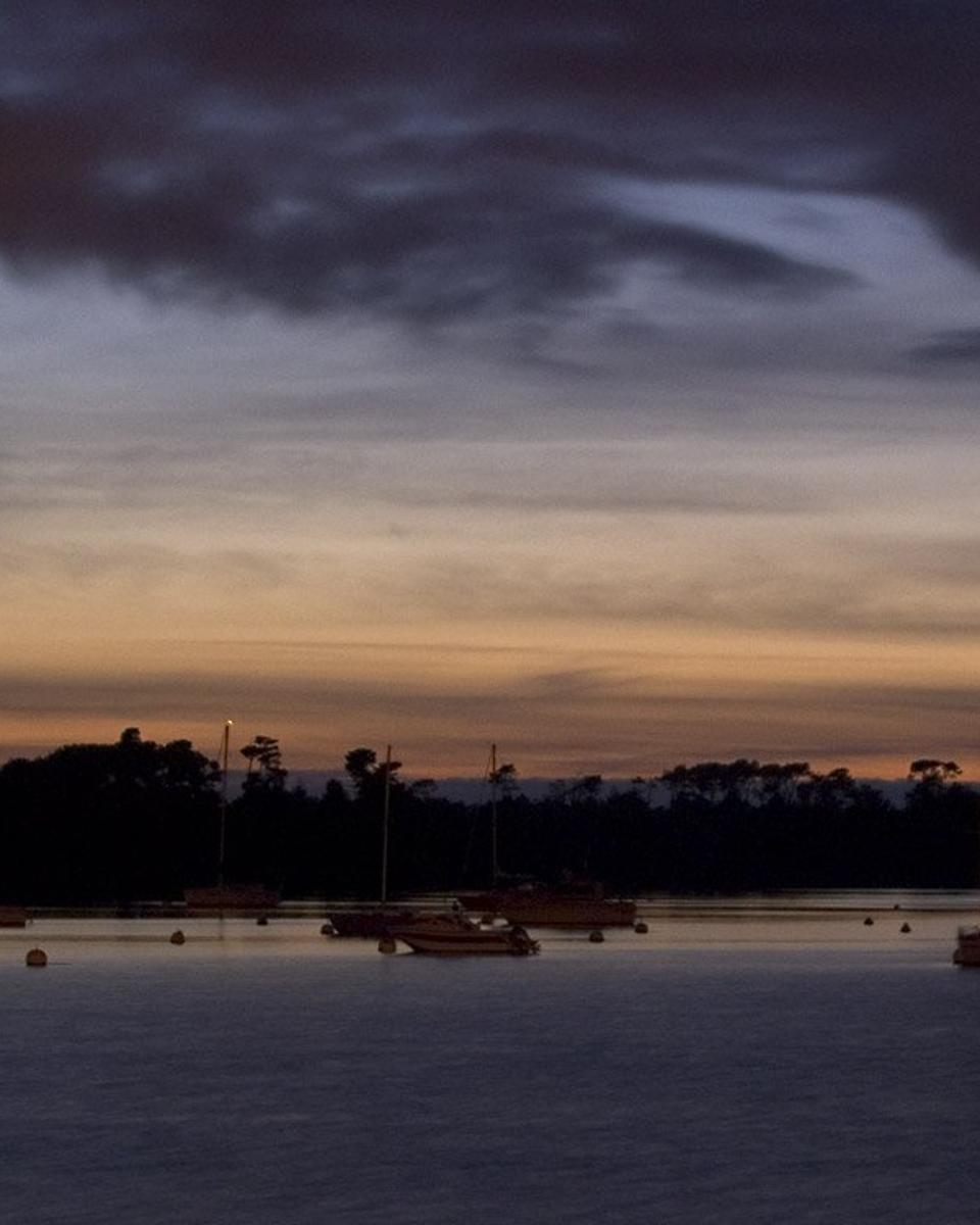 Venus Returns to the Evening Sky