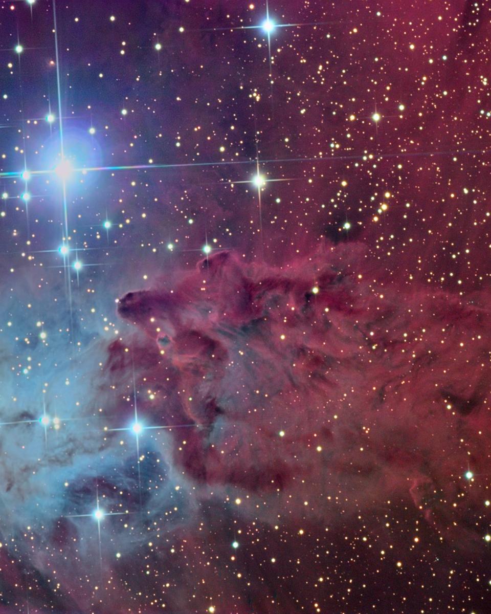 The Fox Fur Nebula