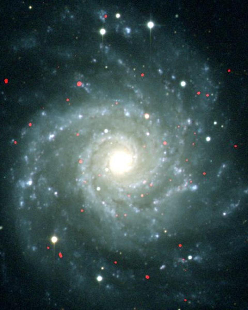 ULXs in M74