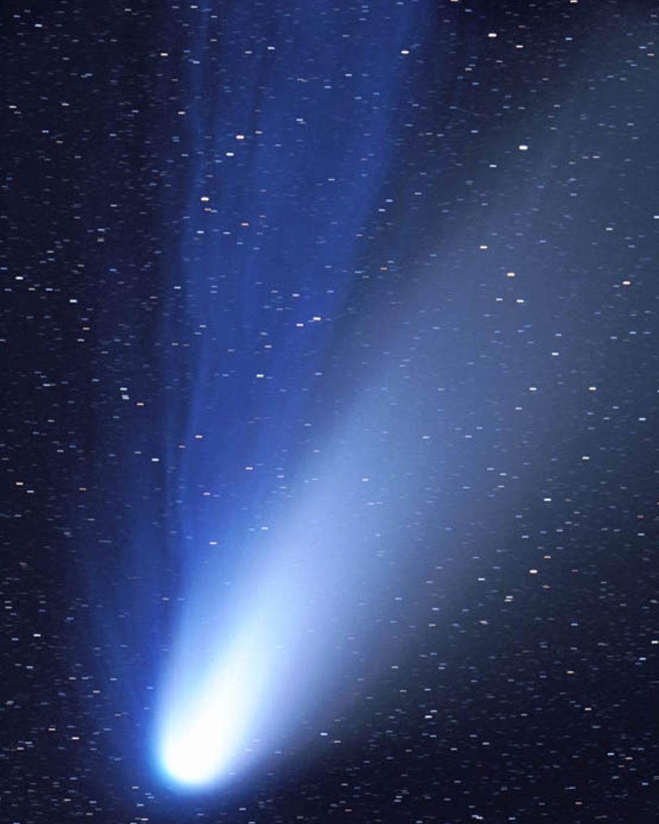 The Dust and Ion Tails of Comet Hale-Bopp
