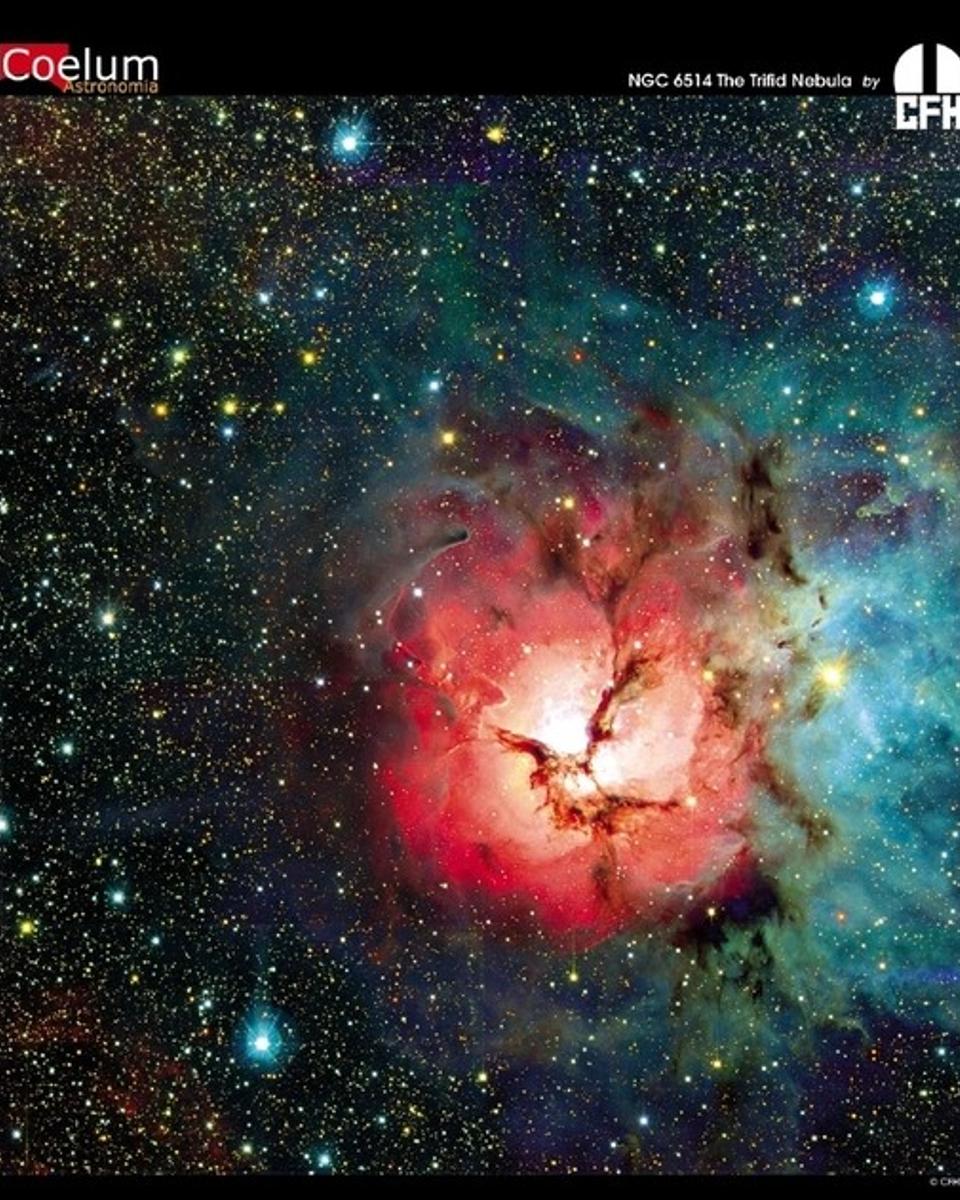 The Trifid Nebula from CFHT