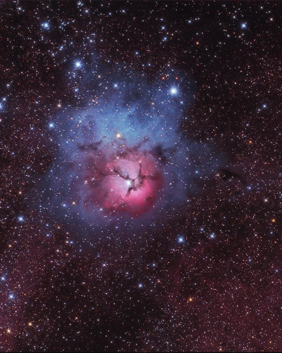 A Beautiful Trifid